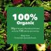 PlantFusion Organic Pea Protein Powder - Vegan, Gluten-Free, Chocolate, 1 LB - Buy Online on GoSupps.com