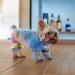 Stylish Rainbow Cotton Dog Sweater with Legs | Windproof Puppy Pajamas - XS for Small & Medium Dogs - Buy Online on GoSupps.com