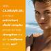 Piz Buin Allergy Sun Sensitive Skin Spray SPF 15 200ml SPF15 200 ml (Pack of 1) - Buy Online on GoSupps.com