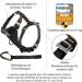 Kurgo Tru-Fit Car Safety Harness for Dogs - Padded Chest Panel D-Ring & Seat Belt - Size XS Gray - Safe Travel for Pets - Buy Online on GoSupps.com