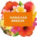 Glade PlugIn Plus Air Freshener Starter Kit - Hawaiian Breeze Scented Oil for Home & Bathroom - 0.67 Fl Oz Includes 1 Warmer & 1 Refill - Buy Online on GoSupps.com