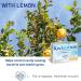LUVBIOTICS Lemon Lozenges (3 pcs) - Boost Oral Flora with Probiotic Bacterial Cultures | Shop Internationally - Buy Online on GoSupps.com