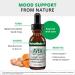 NutraMedix Avea Turmeric Extract - Liquid Turmeric Supplement for Stress Mood Support & Promoting a Healthy Inflammatory Response - Daily Stress Relief Drops (1oz / 30ml) 1 Fl Oz (Pack of 1) - Buy Online on GoSupps.com
