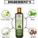 Blessfull Healing Organic Green Apple + Conditioner Hair Cleanser | Shampoo 300 ML (Packing May Vary) - Buy Online on GoSupps.com