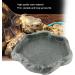 Reptiles Water Tray Resin Anti-Slip Climb Pet Tortoise Lizard Rock Drinking Food Feeder Dish(S-Green) S Green - Buy Online on GoSupps.com