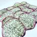 Dried Dragon Fruit Slices - Premium Dehydrated Cocktail Garnishes - 14 Servings (50g Approx) - Buy Online on GoSupps.com