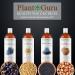 Plant Guru Tamanu Oil 2 fl. oz. Cold Pressed 100% Pure & Natural Unrefined Carrier Oil for Skin Face Body & Hair Moisturizer. Ideal for DIY Creams Lotions Soaps & Lip Balms. - Buy Online on GoSupps.com