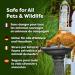 Envii Water Feature Klear - Natural & Chemical-Free Cleaner | Safe for Wildlife & Pets | 20 Tablets - Treats 2,000 Litres - Buy Online on GoSupps.com