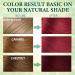 Dark Red Wine 3 in 1 Hair Dye Shampoo for Gray Hair - Herbal Instant Red Color Ammonia & Paraben Free Long Lasting - 500ml - Buy Online on GoSupps.com