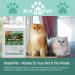 KinderPet Cat Repellent Spray Big Value 5L Refill Stop Cats Anti Fouling Cat Deterrent Stop Fouling Pooping Peeing Urinating Scratching Eucalyptus Lime Peppermint - Buy Online on GoSupps.com