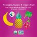 Once Upon a Farm Organic Pineapple Banana Dragon Fruit Immunity Blend - Nutritious Kids Snack (3.2oz Pouch) - International Shipping Available - Buy Online on GoSupps.com