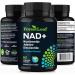 NAD+ Supplement - 500mg of Pure NAD Plus for Energy Focus Skin & Anti-Aging Support - Gluten Free Non-GMO NAD Supplements for Women & Men (60 Count NAD +) NAD+ 60 Count (Pack of 1) - Buy Online on GoSupps.com