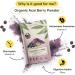 Organic Acai Berry Powder 50g - Natural Antioxidant for Skin Health | Earth's Basket - Buy Online on GoSupps.com
