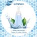 Dial Complete Antibacterial Foaming Hand Soap Spring Water 7.5 Fl Oz - Single Pack - Buy Online on GoSupps.com