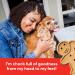 Buddy Biscuits Grain-Free Dog Treats - Soft Grilled Beef (5oz) | Healthy, USA-Made, No Wheat, Corn, or Soy - Buy Online on GoSupps.com