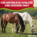 EGGERSMANN My Horse Feed Professional Skin Kur 1 kg - Concentrate with Brewer's Yeast Pebble Gur & Herbs - Supports Skin Regeneration & Immune Defense - Supplementary Feed for Horses & Ponies - Buy Online on GoSupps.com