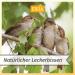 Erda Dried Soldier Fly Larvae 5kg - High-Protein Bird Feed for Chickens Wild Birds & Hedgehogs | Natural Treat & Snack | Premium Insect Feed - Buy Online on GoSupps.com