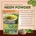 Neem Leaf Powder 8.8 OZ 100% Pure Azadirachta Indica | Traditional Ayurvedic Herb for Skin, Immune, and Detox Support 8.8 Ounce (Pack of 1) - Buy Online on GoSupps.com