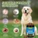 Dog Allergy Chews Dog Allergy and Itching Skin Relief Anti-Itch Skin & Coat Supplement Itch Allergy Probiotics Support Chew Vitamins with Salmon Oil Colostrum for Skin and Coat Allergies -180 Ct - Buy Online on GoSupps.com