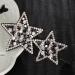 amangul Rhinestones Star Hair Clip Star Hair Accessories Star Barrettes Star Hairpin Crystal Star Hair Clip Hair Bangs Clip(Bright Black) - Buy Online on GoSupps.com