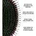 Simply Hair Ultimate Extension Brush & Detangler - Anti-Static Dual Bristle Design - Pink & Purple Ombre - Ideal for All Hair Types & Extensions - Buy Online on GoSupps.com