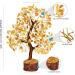 PYOR Aventurine Yellow Feng Shui Money Tree Crystals - Good Luck Energy Gemstones for Spiritual Decor - Buy Online on GoSupps.com
