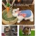 Adjustable Soft Rabbit Dishes & Leash Set | Ideal for Small Pets - Rabbits Cats Guinea Pigs (M Pink) - Buy Online on GoSupps.com