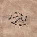 100 Pcs 15mm Fishing Bait Screws - Round/Oval Connection Loop for Carp Fishing - Accessories in Matt Black - Buy Online on GoSupps.com