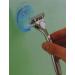 Ruilogod Bathroom Suction Cup Cell Phone Razor Holder - 37mm Diameter | Organize & Save Space - Buy Online on GoSupps.com