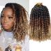 8 Packs Pre-twisted Passion Twist Crochet Hair 10 Inch Ombre Color Hair for Passion Twist Braiding Curly Ends Hair Extensions (1B/30/27 10inch) 1B/30/27 10 Inch