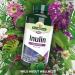 Natures Aid Inulin Powder 250g - 100% Natural Chicory Root, High Fibre & Low Calorie Prebiotic - Vegan Society Approved - Made in the UK - Buy Online on GoSupps.com