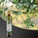 Extra Virgin Olive Oil - Olearia del Garda 750 ml | Premium Italian Oil for International Shipping - Buy Online on GoSupps.com