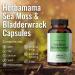 HERBAMAMA Sea Moss Capsules - Organic Irish Sea Moss Bladderwrack Supplement - 100 Vegetarian Capsules for Immunity, Thyroid, Digestive Health & Joint Support - Non-GMO Superfood (1 Pack) - Buy Online on GoSupps.com