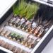 Buy Bassdash Fly Fishing Flies Set - 33PCs Trout & Bass Flies with Fly Box | Dry Wet Nymphs Streamers Popper - International Shipping Available - Buy Online on GoSupps.com
