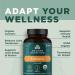 Turmeric Capsules for Joint Support & Inflammation | 30ct Gluten-Free Tablets - Ancient Nutrition - Buy Online on GoSupps.com
