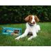 Loyalty Dog Treats Pig Ears (Pack of 25) + Beef Bully Sticks (Pack of 10) | Natural Single Ingredient Dehydrated Dog Chews Dog Treats + Dental Chew 6 inch 25 Pack - Buy Online on GoSupps.com