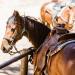 Starkenburg Horse Saddle Bag Cell Phone Holder | Easy-Access Pommel Bag for Small Items | Secure Light Brown Design - Buy Online on GoSupps.com