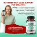 Ultra All-in-1 Chlorella Spirulina Activated Charcoal & Zeolite Natural Detox Immune & Vitality Support 150 Capsules 150 count (pack of 1) - Buy Online on GoSupps.com