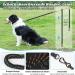 Aystkniet Bungee Dog Leash - Shock-Absorbing Padded Handle Reflective 3m-30m for Medium & Large Dogs - Durable Brown Drag Line - Buy Online on GoSupps.com