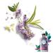 Herbal Essences Rosemary and Herb Conditioner 400 ml - Nourishing Hair Care for All Hair Types | Buy Online & Ship Worldwide - Buy Online on GoSupps.com