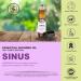 SocialSKN Sinus Relief Essential Oil Blend - Rosemary Peppermint Eucalyptus Frankincense - Congestion Relief Roll On 10ml - Buy Online on GoSupps.com