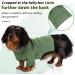 Shop Convinit Winter Dog Sweater for Small & Medium Breeds | Warm Knitted Roll Collar for Chihuahua Dachshund French Bulldog - Green - Buy Online on GoSupps.com