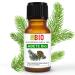 Fir Oil Organic Essential Oil 100% Pure 10 ml - Aromatherapy Cosmetic Therapeutic - Laboratory Organic Fir 10 ml (Pack of 1)