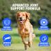 JOINTSURE Joint Support Supplements for Dogs 120 Tabs Aids Stiff Joints Supports Joint Structure & Maintains Mobility in Adult/Senior Dogs | Advanced Formula Helps Arthritis Relief (pack varies) 120 Tablets - Buy Online on GoSupps.com