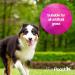 Pretty Pooch Artificial Grass Cleaner for Dogs 1L - Super Concentrate Disinfectant & Deodorizer (Fresh Cut Grass) - Makes 10 Litres | Buy Now - Buy Online on GoSupps.com