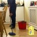 Mr Clean All Purpose Cleaner Disinfectant Floor Cleaner Liquid Summer Citrus 2.4 L - Buy Online on GoSupps.com