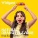 Wellgard Vegan Kids Multivitamin Gummies Chewable Childrens Multivitamins Kids Vitamins Multivitamins 60 Gummies Orange Flavour Kids Gummies - Buy Online on GoSupps.com