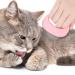 2-Piece Cat Massage Comb for Grooming and Deshedding - Green Pink - Buy Online on GoSupps.com