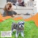 Jostift Microfiber Dog Bathrobe Towel - Extra Absorbent & Quick Drying for Large & Small Dogs (Gray S) - Adjustable Straps for Perfect Fit - Buy Online on GoSupps.com