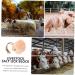HANABASS Lick Salt Block Salt Licking Block Nutrition Farm Animals Salt Hanging Salt Block Farm Supply - Buy Online on GoSupps.com